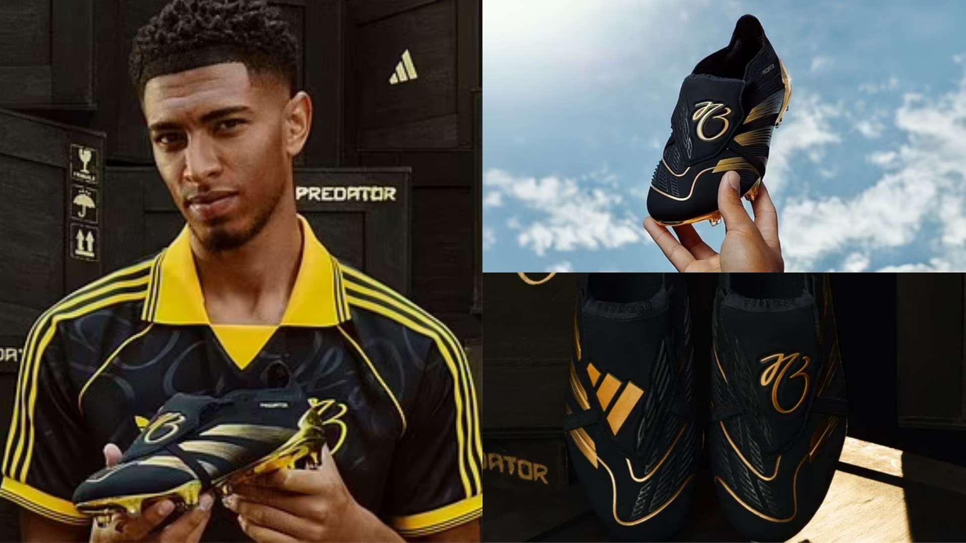 截然不同的 截然不同的