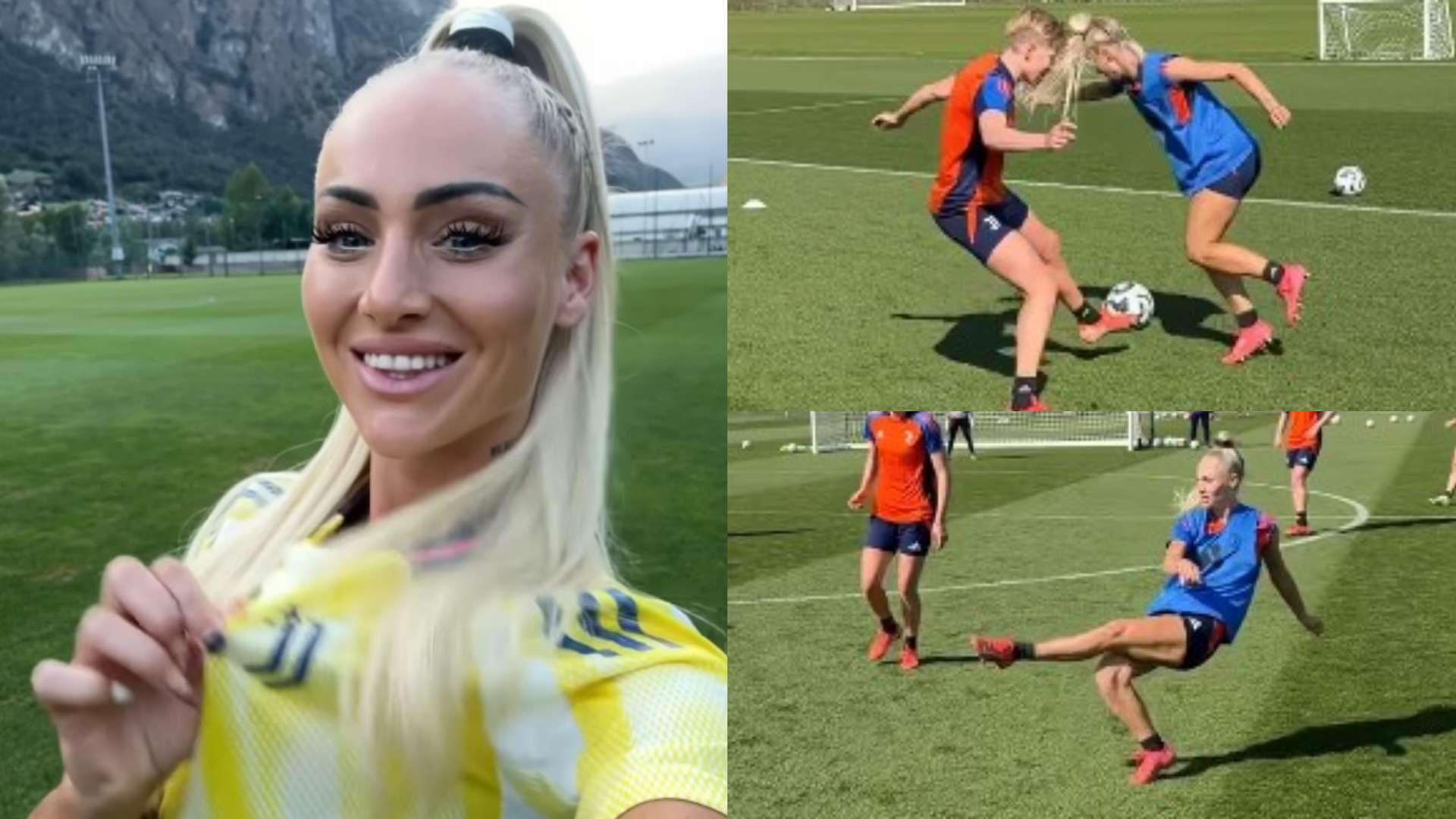 新引援焦点 新引援焦点